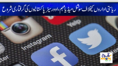 overseas pakistani arrest news