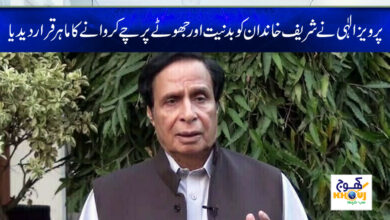 pervaiz elahi news