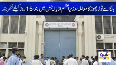 pm in adiala jail