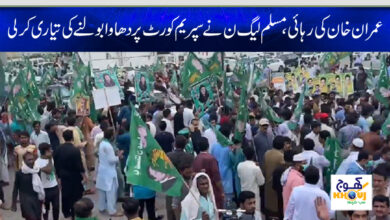 pmln protest supreme court