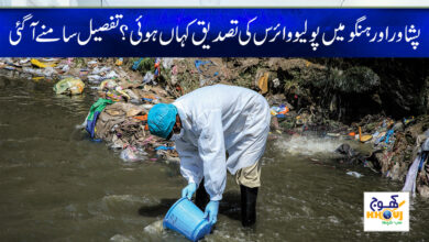 polio case in balochistan