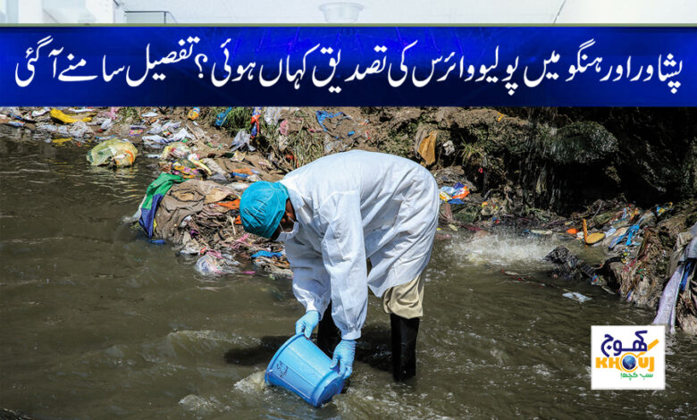 polio case in balochistan