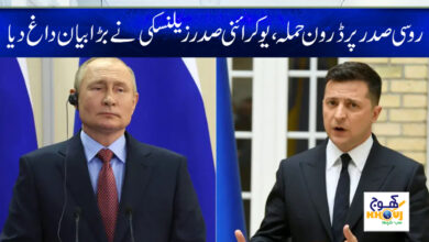 putin and zelensky news