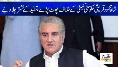 shah mehmood qureshi news