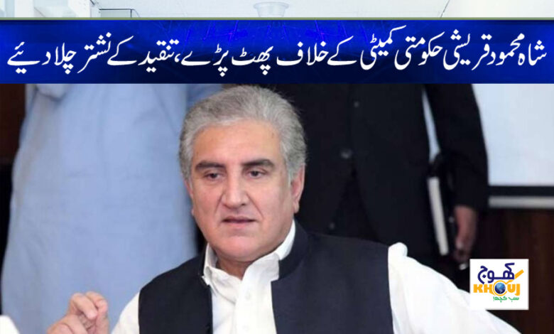 shah mehmood qureshi news