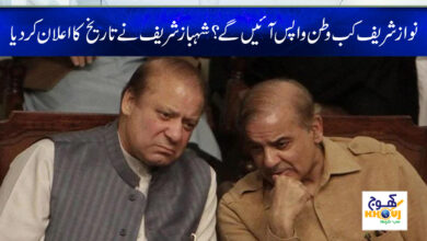shahbaz sharif and nawaz sharif news