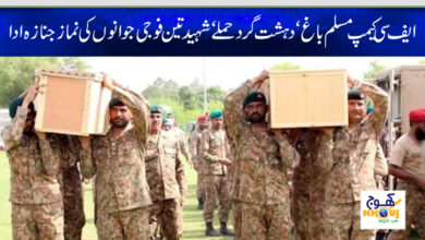 shaheed army officer news