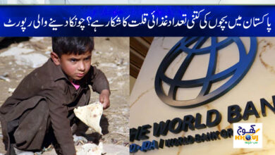 the world bank report about pakistan