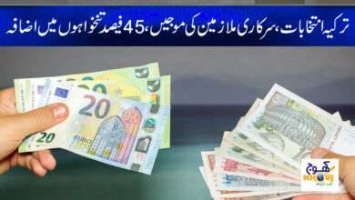 turkey govt servant news