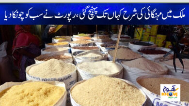 Inflation report of pakistan