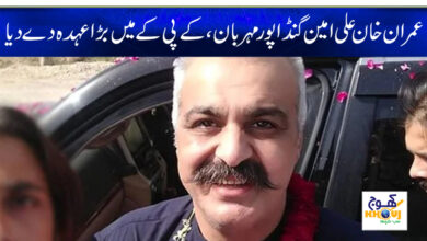 ali ameen ganda pur