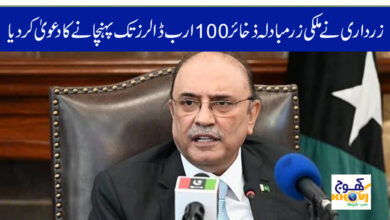 asif zardari news