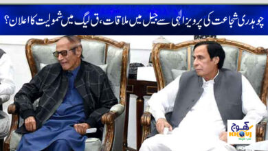 chaudhry shujaat meet with pervaiz elahi in jail
