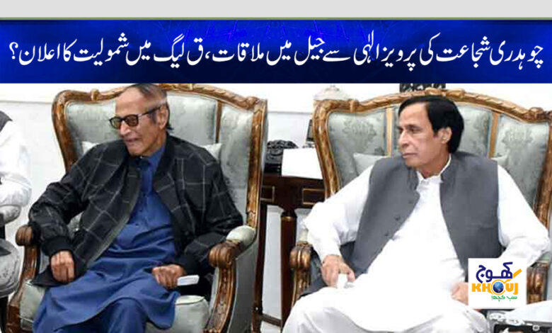 chaudhry shujaat meet with pervaiz elahi in jail
