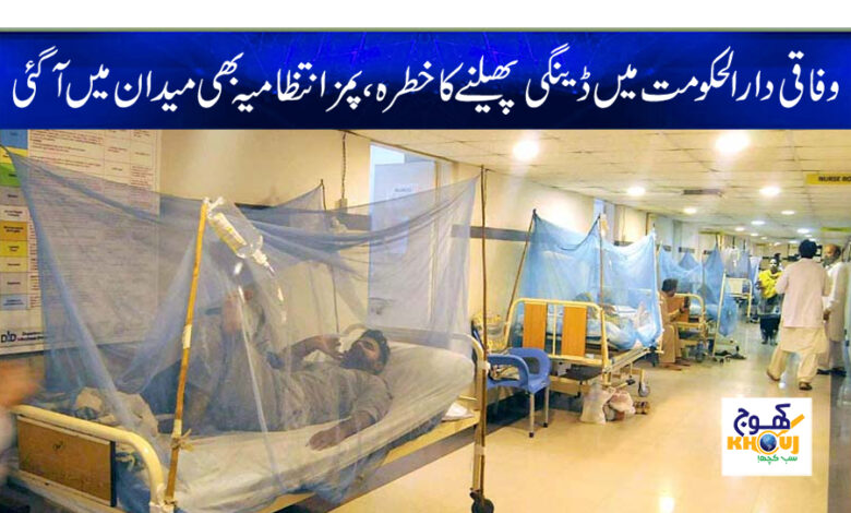 dengue and pims hospital