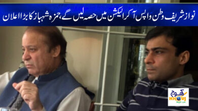 hamza shahbaz and nawaz sharif