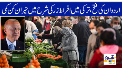 infulence report of turkey