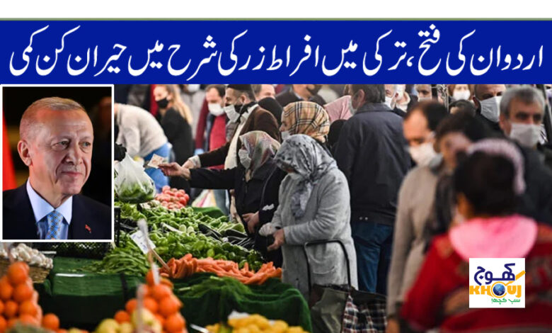 infulence report of turkey