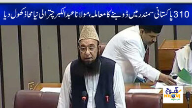 maulana abdul akbar chitrali