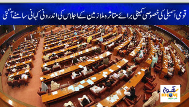 national assembly