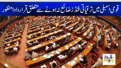 national assembly