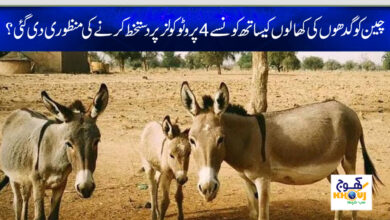 pakistan and china relation
