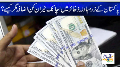 pakistani Foreign exchange reserves