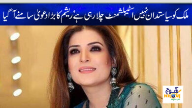pakistani actor resham