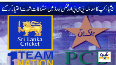 pcb and lankan board