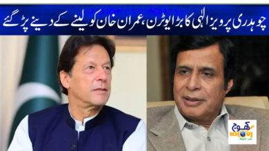 pervaiz elahi and imran khan