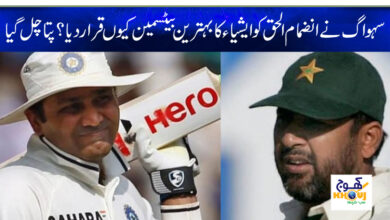 sehwag and inzamam