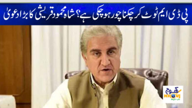 shah mehmood qurashi