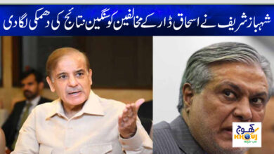 shahbaz sharif and ishaq dar