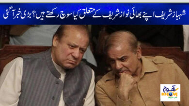 shahbaz sharif and nawaz sharif
