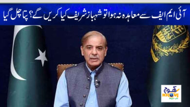 shahbaz sharif news