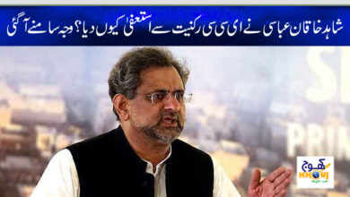 shahid khaqaan abbasi