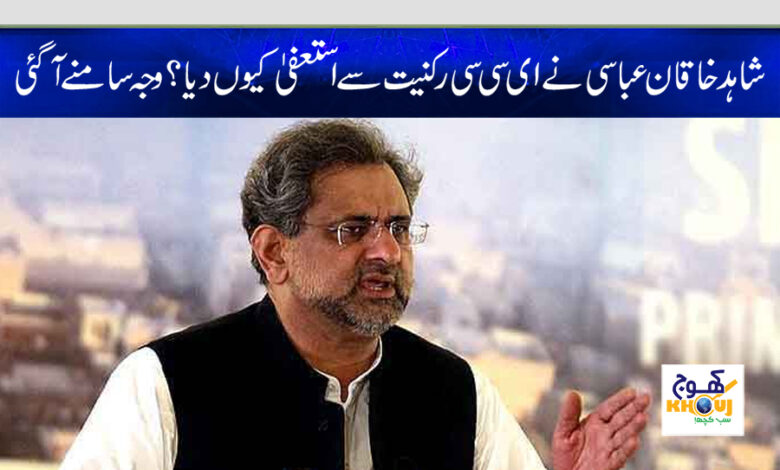 shahid khaqaan abbasi