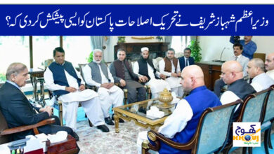 threek e islahaat pakistan delgiation meetin with shahbaz sharif