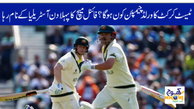 world champion of test cricket