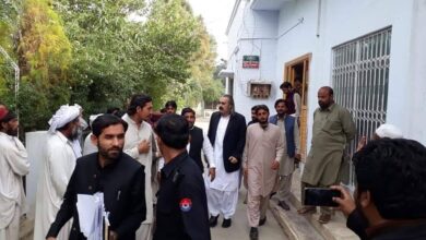 ali amin gandapur news