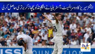 ashin series austrila