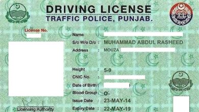 driving license
