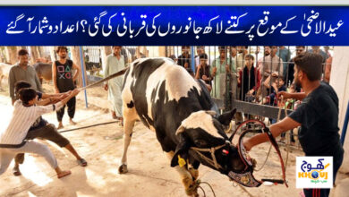 eid ul adha