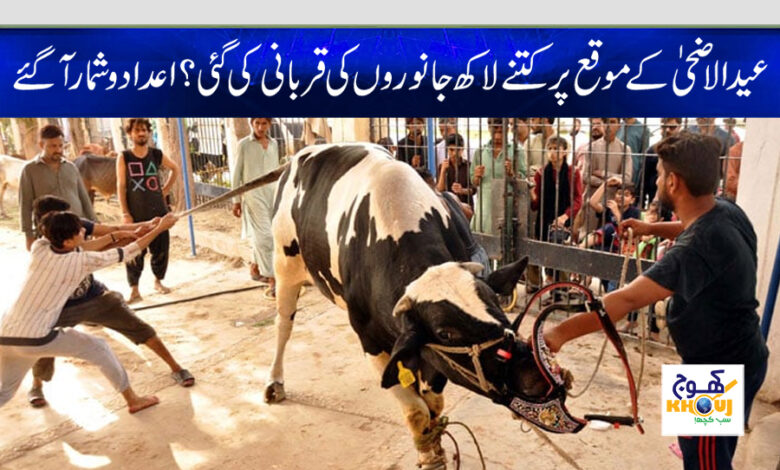 eid ul adha