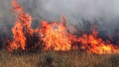 fire in bahria room forest