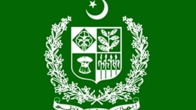 govt of pakistan