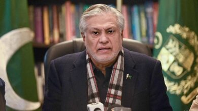 ishaq dar