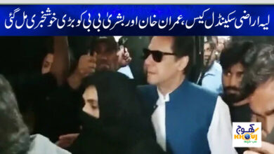 layyah land scandal