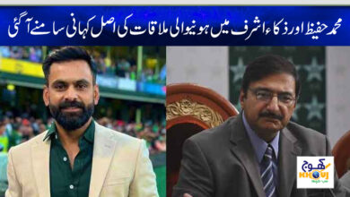 muhammad hafeez and zaka ashraf