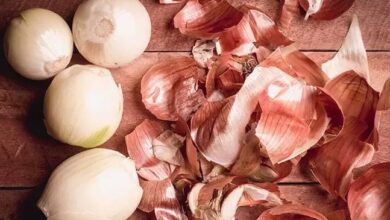 onion
